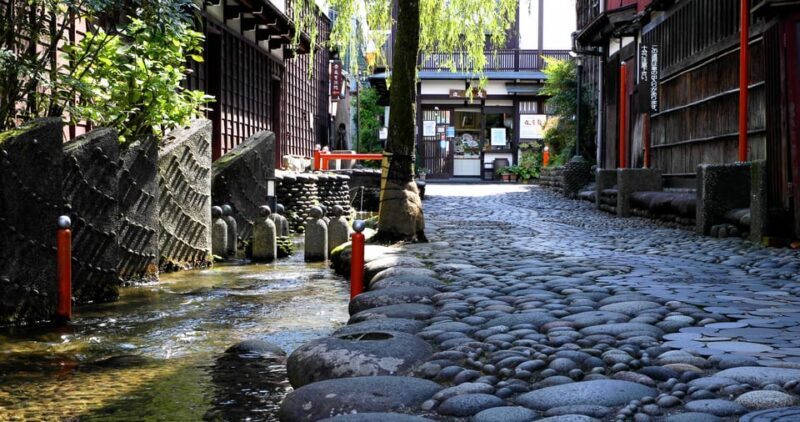 From Nagoya: Gujo, Hida Takayama, and Shirakawa-go Day Tour - The Real Experience: Pros and Cons