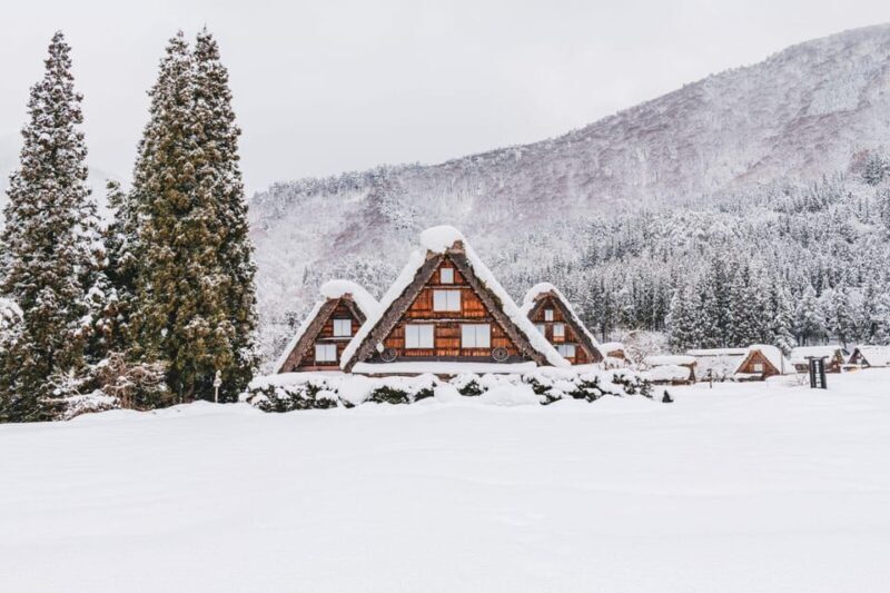 From Nagoya: Hida Takayama and World Heritage Shirakawa-go - An Introduction to the Tour Experience