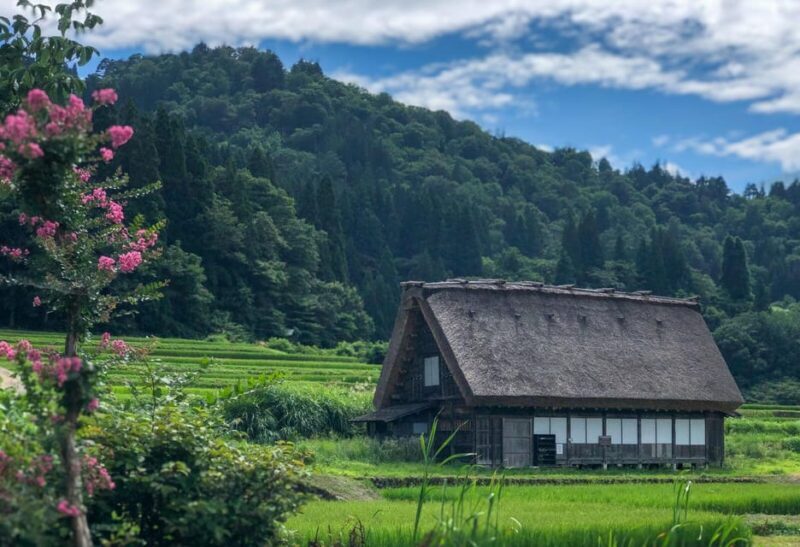 From Nagoya: Hida Takayama and World Heritage Shirakawa-go - The Sum Up