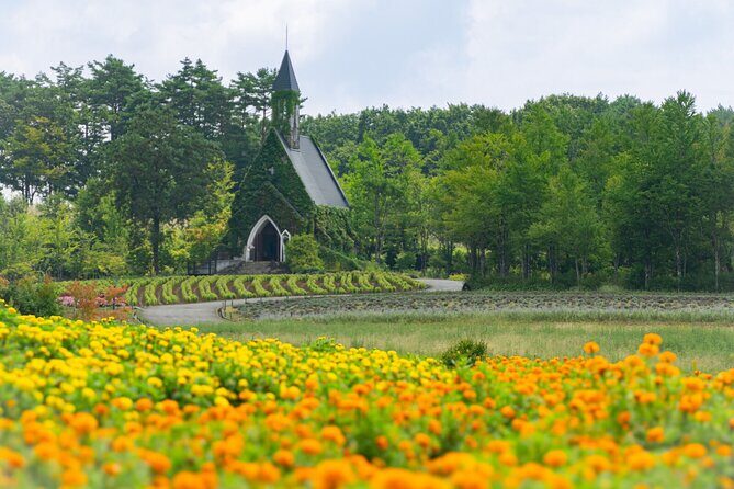 From Nagoya: Kamikochi - Enchanting Landscapes - Small Group Tour - Exploring the Full-Day Kamikochi Small-Group Tour