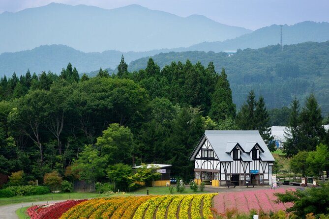 From Nagoya: Kamikochi - Enchanting Landscapes - Small Group Tour - What’s Included and What to Consider