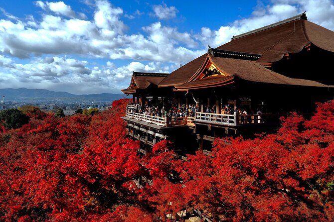 From Nagoya: Kyoto Day Tour with Pork Shabu Shabu Lunch - Key Points
