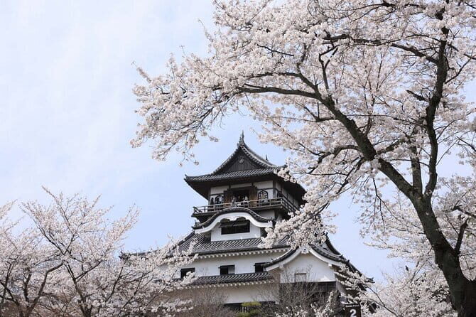 From Nagoya: Samurai Swords and Japan Oldest Castle - An In-Depth Look at the Itinerary