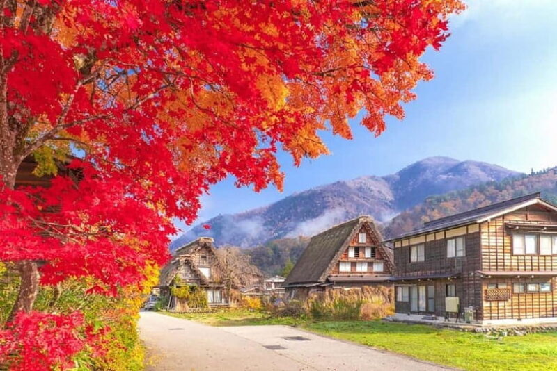 From Nagoya: Shirakawa-go & Hida-Takayama Full Day Trip - Key Points