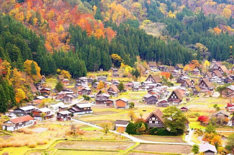 From Nagoya: Shirakawa-go & Hida-Takayama Full Day Trip - Who Will Enjoy This Tour?