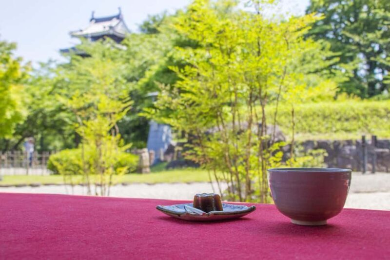 From Nagoya: Wagashi Workshop & Matcha Tea Field Tour - Who Will Love This Tour?