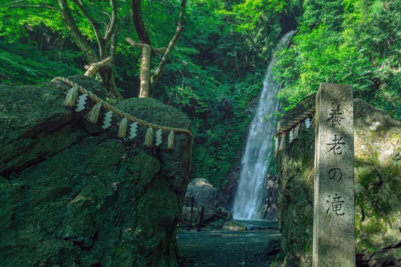 From Nagoya: Yoro Falls & Mt. Gozaisho Scenic Ropeway - Key Points