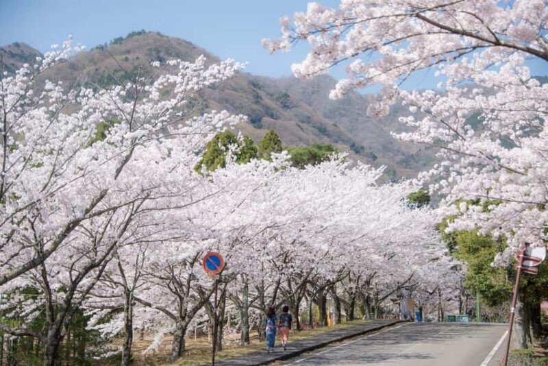 From Nagoya: Yoro Falls & Mt. Gozaisho Scenic Ropeway - FAQ