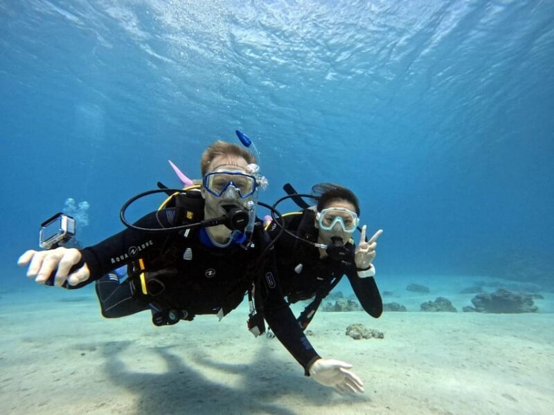 From Naha Scuba Diving Trip in Kerama(for certified divers) - The Experience in Detail: A Deeper Dive (Pun Intended)