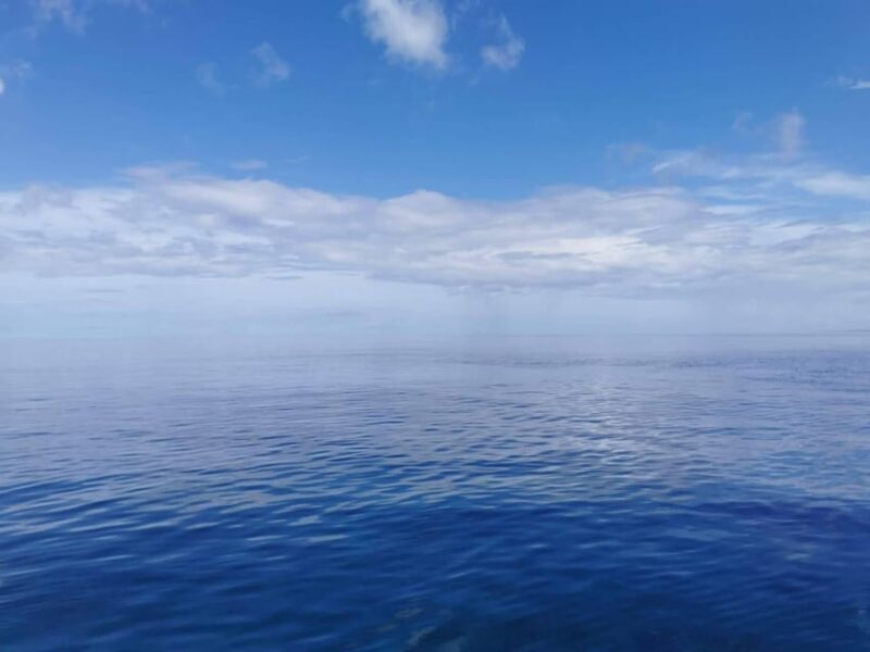 From Naha Scuba Diving Trip in Kerama(for certified divers) - Who Should Consider This Tour?