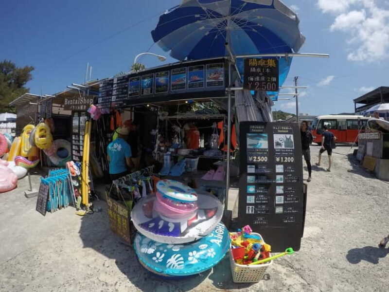 From Naha: Tokashiki Island Day Trip - What to Expect from the Tour