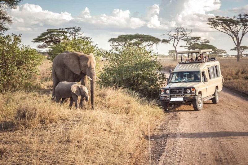 From Nairobi: 10 Days Classic Kenya and Tanzania on 4x4 Jeep - Frequently Asked Questions