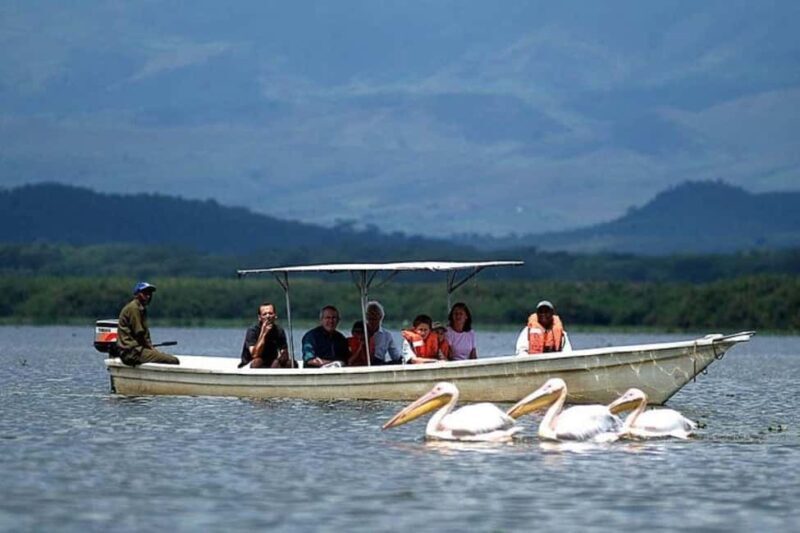 From Nairobi: 12 Days Small Group Kenya and Tanzania Safari - FAQs