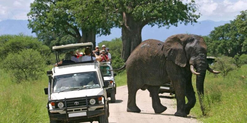 From Nairobi: 15-Day Kenya and Tanzania Safari with Zanzibar - Key Points