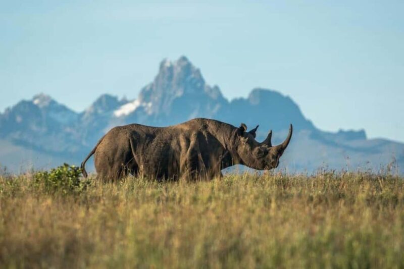 From Nairobi: 2-Day Tsavo East and West National Park Safari - Getting There and Around
