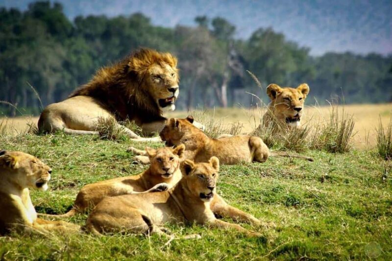 From Nairobi: 2-Day Tsavo East and West National Park Safari - How the Itinerary Unfolds