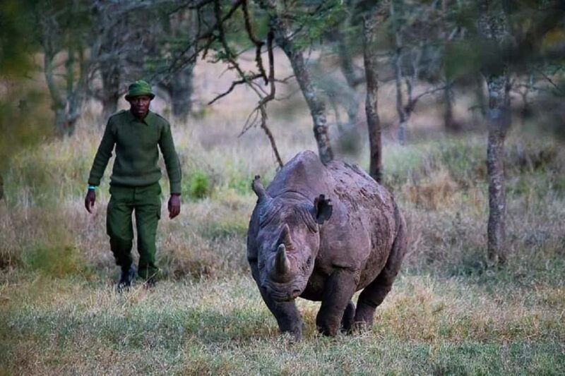 From Nairobi: 2 days 1 night Safari to Ol Pejeta Conservancy - FAQ