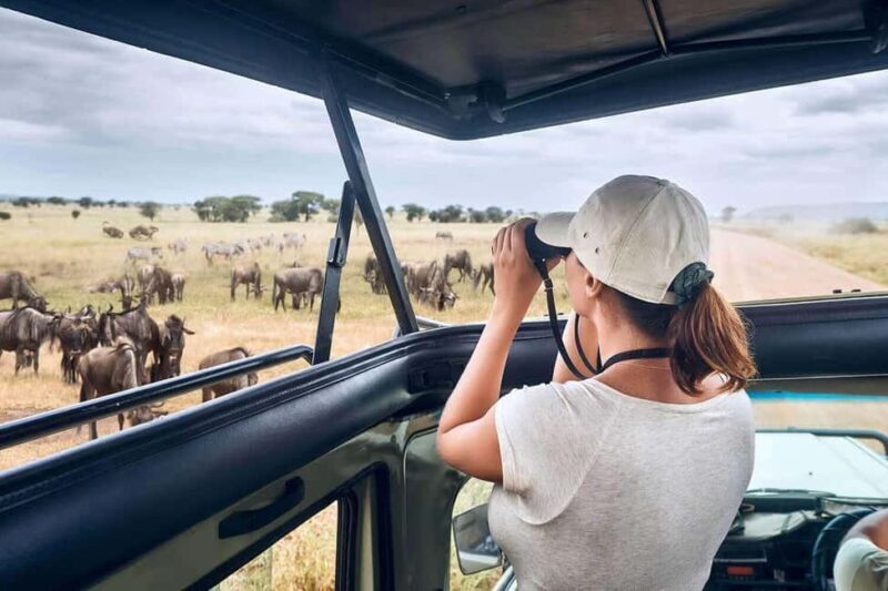 From Nairobi: 20-Day Kenya and Tanzania Safari with Zanzibar - The Value Proposition