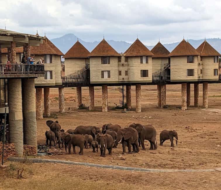 From Nairobi: 3 Days 2Nights Tsavo West Saltlick Taita Hills - The Experience of the Journey