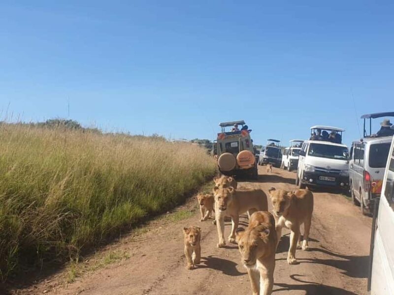 From Nairobi: 3 Days Amboseli Tour - Frequently Asked Questions