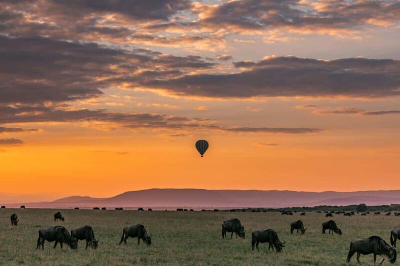 From Nairobi: 3 - Days Maasai Mara Group Safari by 4WD - Returning to Nairobi: Reflecting on the Experience