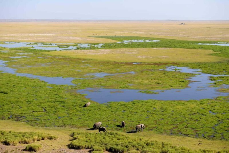 From Nairobi: 4-Day Safari to Amboseli Tsavo West & East - Authentic Encounters and Real Reviews