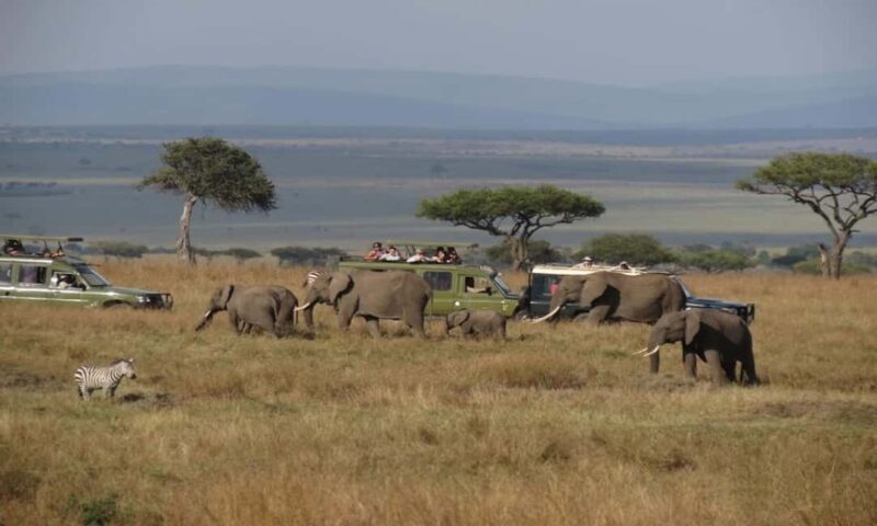From Nairobi: 5-Day Amboseli, Tsavo West & East Safari - Key Points
