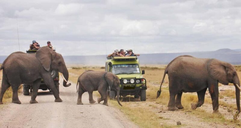 From Nairobi: 5-Day Amboseli, Tsavo West & East Safari - Who Will Appreciate This Safari?