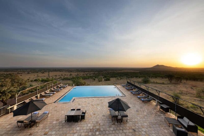 From Nairobi: 5-Day Masai Mara and Naivasha Safari - An In-Depth Look at the 5-Day Safari Experience