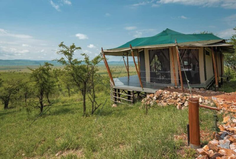 From Nairobi: 5-Day Masai Mara and Naivasha Safari - What Makes This Tour Stand Out?
