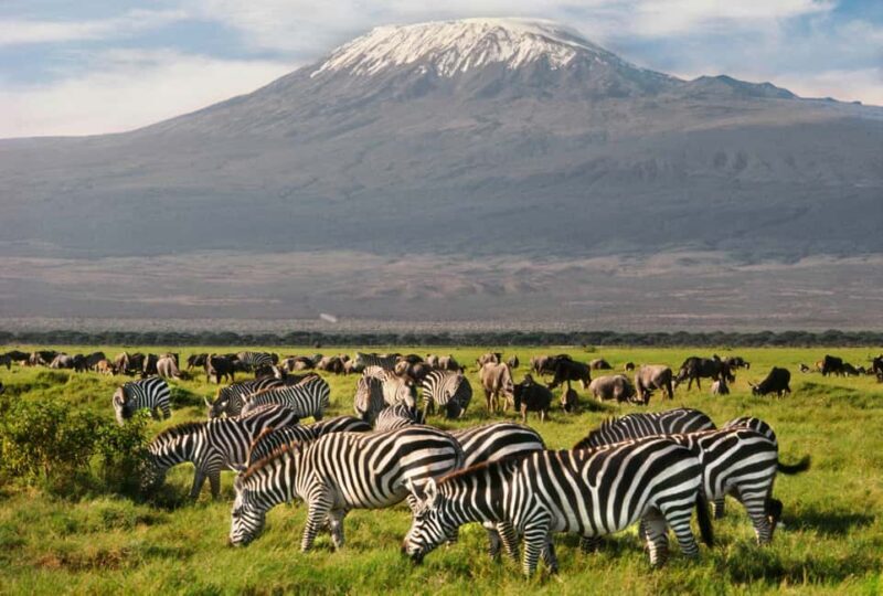 From Nairobi: 8-Day Annual Wildebeest Migration Safari - An Honest Look at the 8-Day Wildebeest Migration Safari