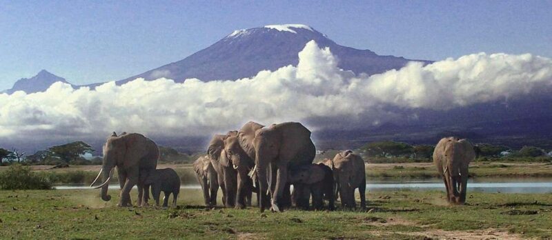 From Nairobi: Amboseli National Park & Masai Village Tour - Practical Tips