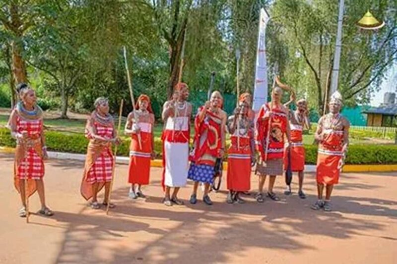 From Nairobi: Bomas of Kenya Cultural Dance Tour and Show. - Practical Tips for Visitors