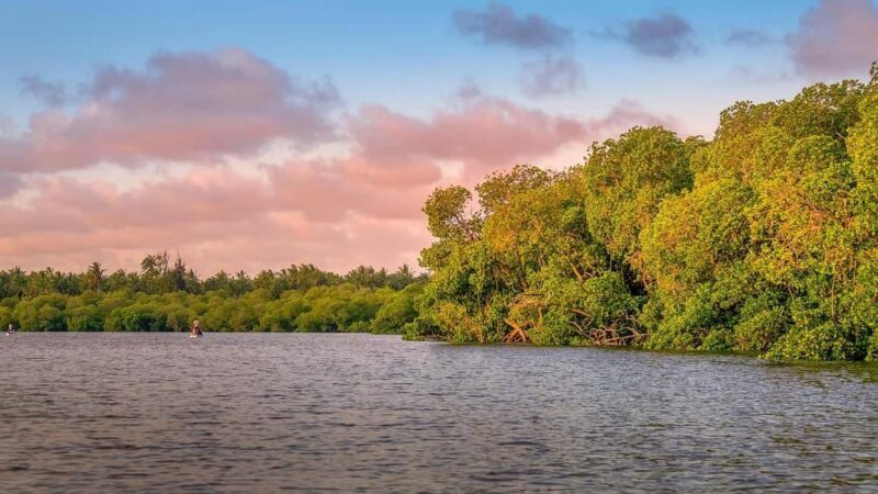 From Nairobi: Crescent Island Safari Experience - What’s Included and What to Bring