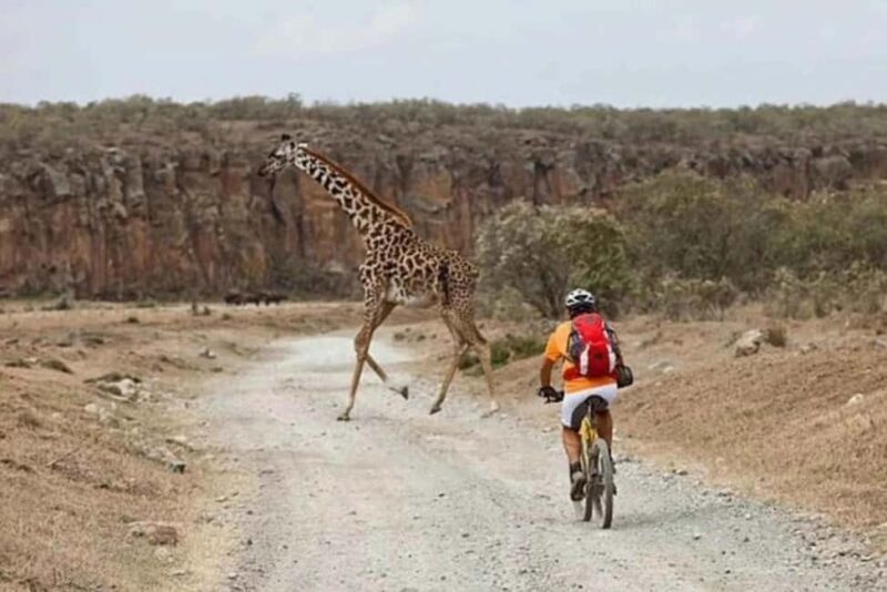 From Nairobi: Day Trip to Lake Naivasha and Hell's Gate - FAQ