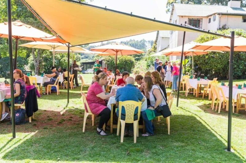 From Nairobi: Kiambethu Tea Farm Tour &Lunch - Analyzing the Value
