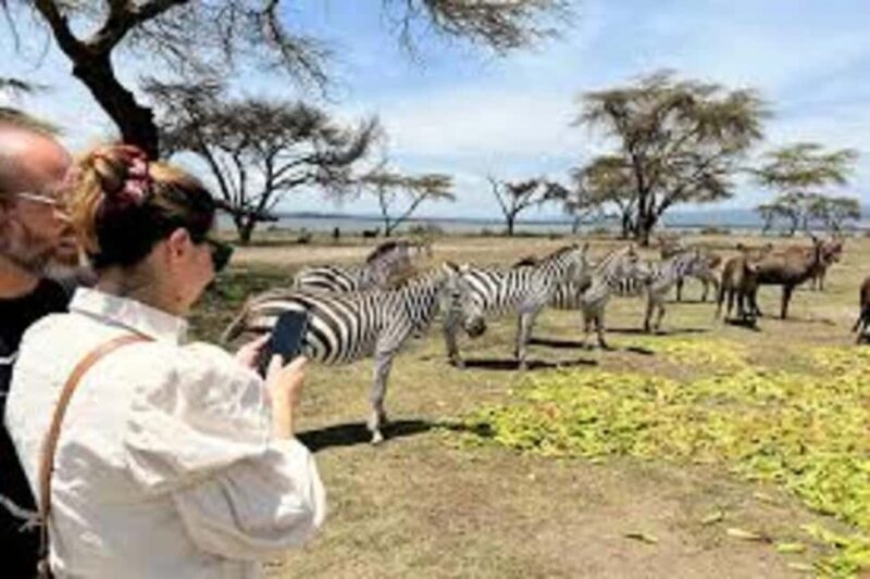 * From Nairobi: Lake Naivasha and Hell's Gate 2-Days.AW - Key Points