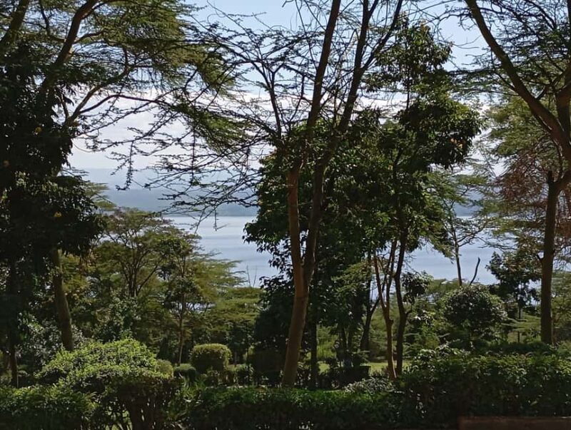 From Nairobi: Lake Nakuru & Naivasha National Park Day Tour - An Authentic Day Exploring Kenyas Rift Valley