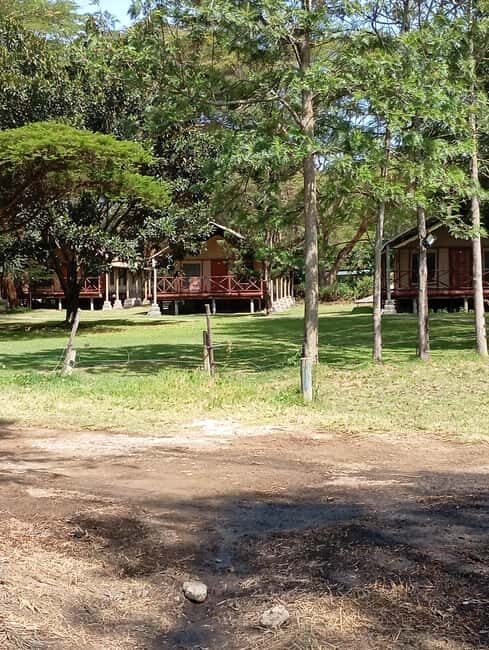 From Nairobi: Lake Nakuru & Naivasha National Park Day Tour - Who Should Consider This Tour?