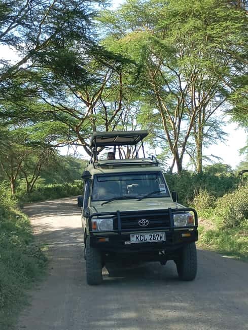 From Nairobi: Lake Nakuru National Park and Lake Naivasha - Key Points