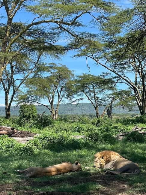 From Nairobi: Lake Nakuru National Park Day Trip - The Sum Up