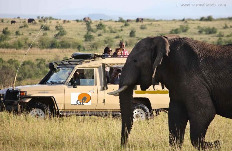 From Nairobi: Masai Mara 3-day Camping Safari by Jeep - Key Points