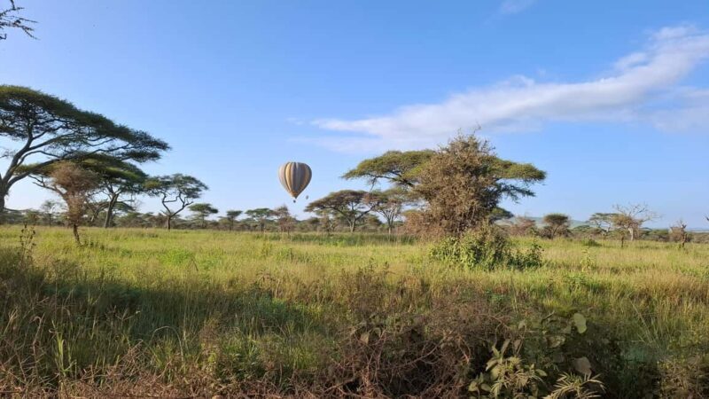 From Nairobi: Masai Mara 6-day Budget Safari - Who Will Love This Safari?