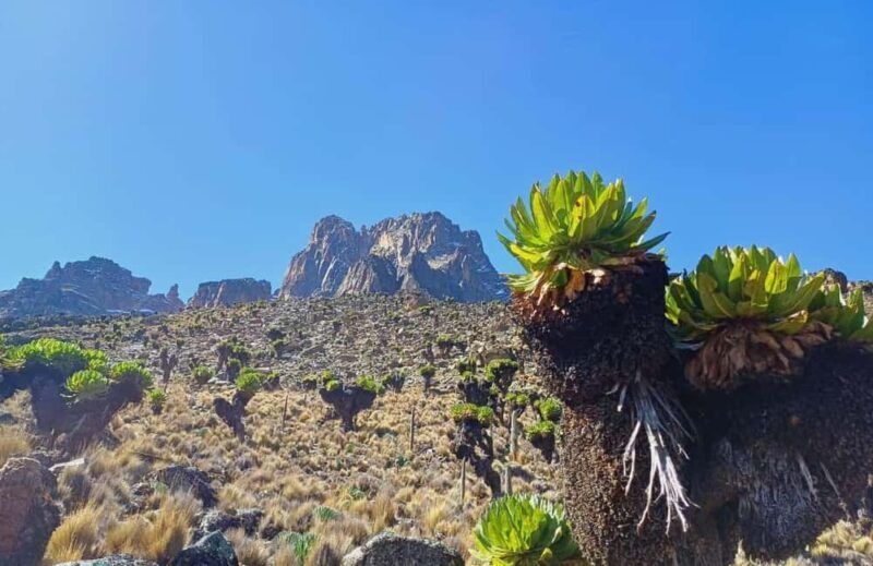 From Nairobi: Mount Kenya 4-Day Trekking Experience - Practical Tips for a Successful Trek