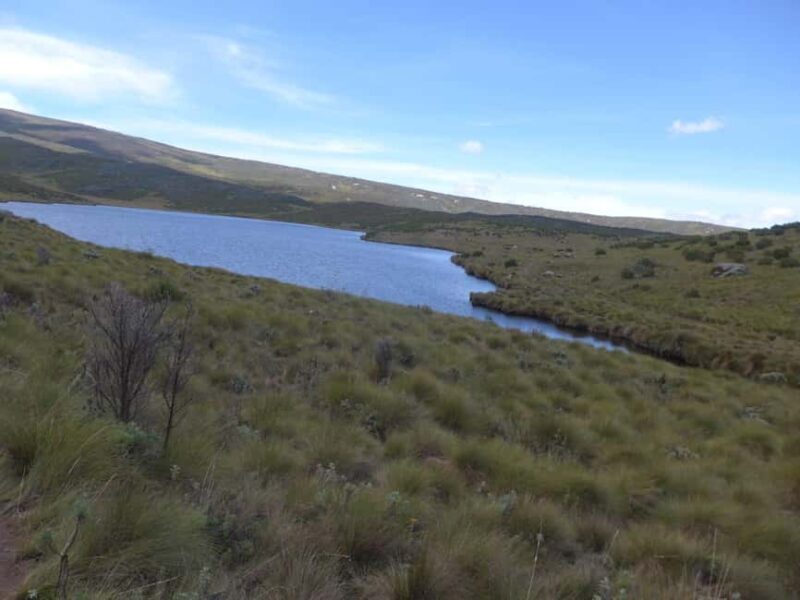 From Nairobi: Mount Kenya 4-Day Trekking Experience - FAQ