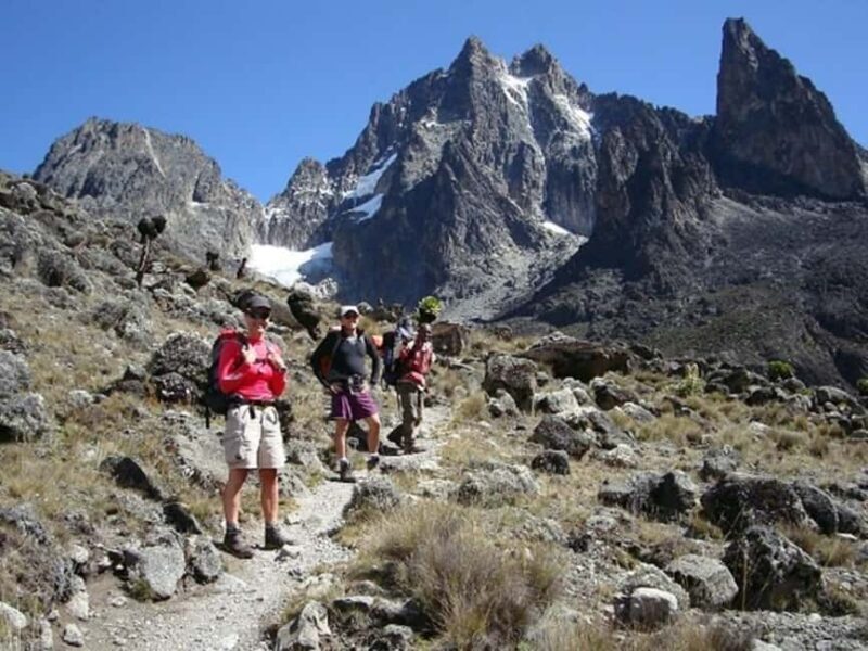 From Nairobi: Mount Kenya National Park Hike with Lunch - Key Points
