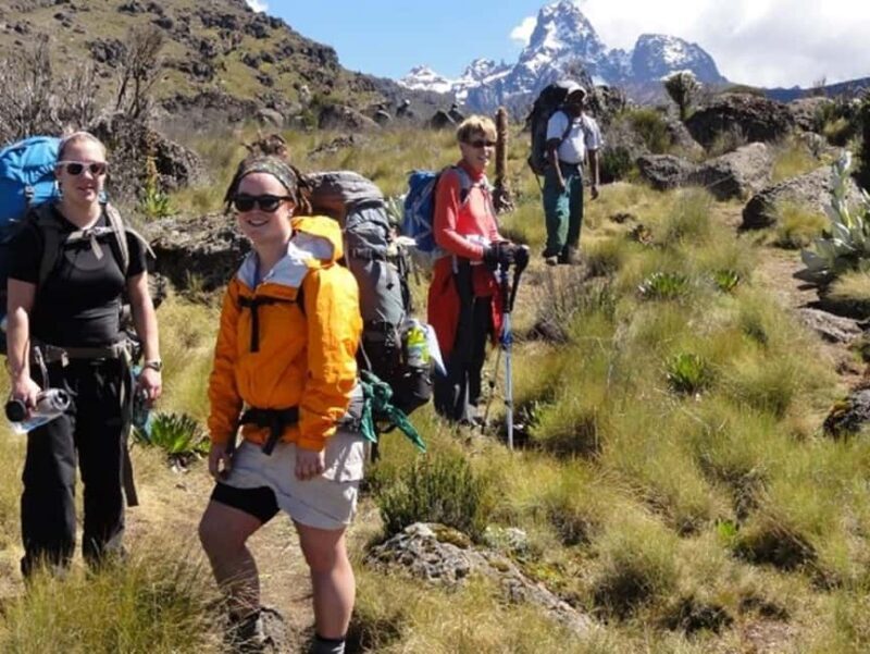 From Nairobi: Mount Kenya National Park Hike with Lunch - Wildlife and Bird Watching