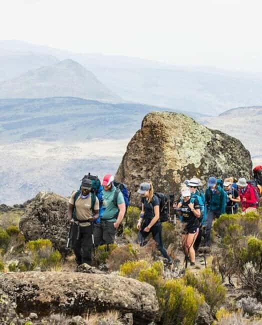 From Nairobi: Mount Kenya National Park Hike with Lunch - FAQ