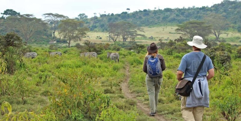From Nairobi: Mt Longonot Hiking Day Tour - The Sum Up