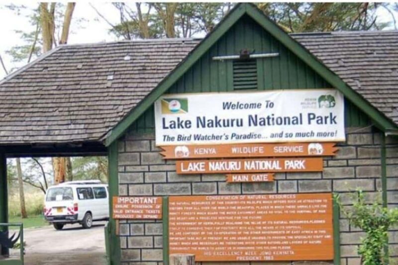 From Nairobi: Overnight Lake Nakuru and Naivasha Safari - The Sum Up